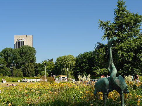 Planten un Blomen - Wasserkaskaden Foto 