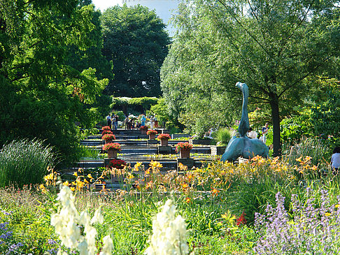 Fotos Planten un Blomen - Wasserkaskaden