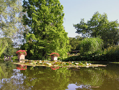 Fotos Planten un Blomen - Wasserkaskaden | Hamburg