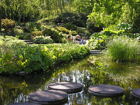 Fotos Planten un Blomen - Wasserkaskaden | Hamburg