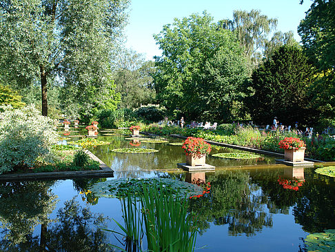 Foto Planten un Blomen - Wasserkaskaden