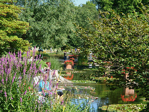 Fotos Planten un Blomen - Wasserkaskaden | Hamburg