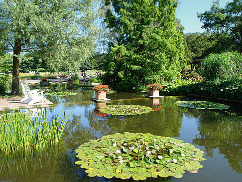 Planten un Blomen - Wasserkaskaden Fotos