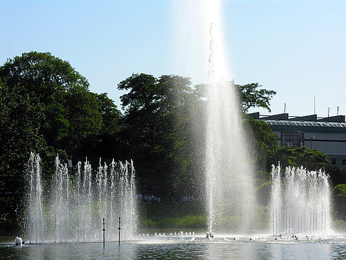 Planten un Blomen - Springbrunnen - Hamburg (Hamburg)