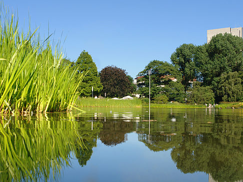 Fotos Planten un Blomen - Wiese am Parksee