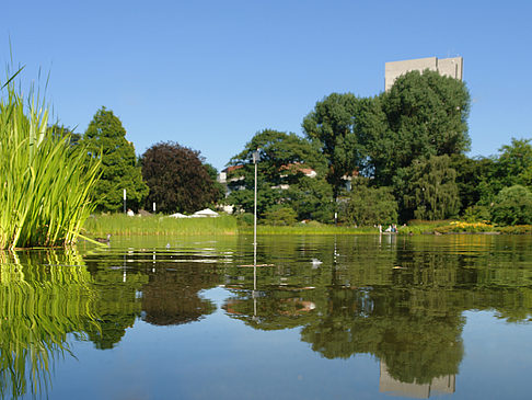 Planten un Blomen - Wiese am Parksee - Hamburg (Hamburg)