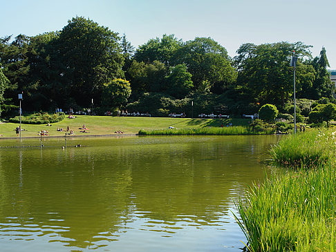 Foto Planten un Blomen - Wiese am Parksee - Hamburg