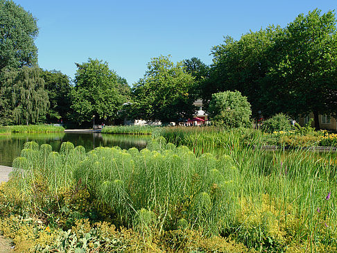 Planten un Blomen - Wiese am Parksee Foto 