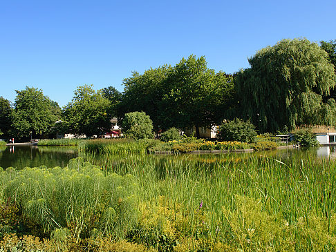 Fotos Planten un Blomen - Wiese am Parksee | Hamburg