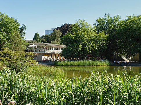 Fotos Planten un Blomen - Wiese am Parksee