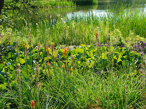 Planten un Blomen - Wiese am Parksee Fotos