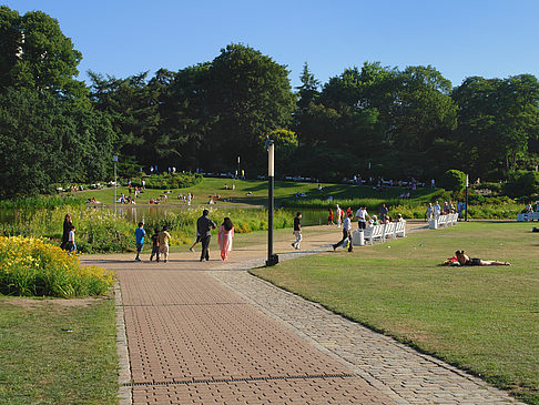 Planten un Blomen - Wiese am Parksee - Hamburg (Hamburg)