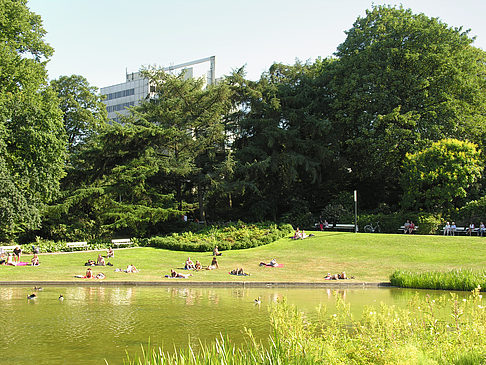 Planten un Blomen - Wiese am Parksee Foto 