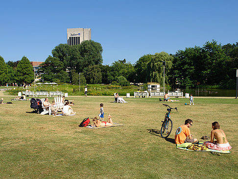 Planten un Blomen - Wiese am Parksee - Hamburg (Hamburg)