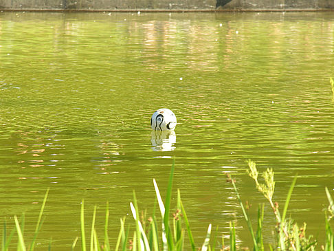 Planten un Blomen - Wiese am Parksee