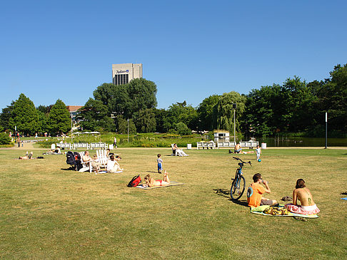 Foto Planten un Blomen - Wiese am Parksee