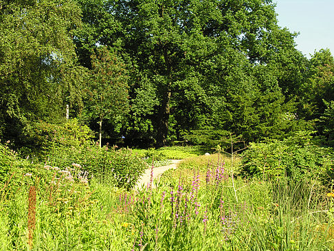 Planten un Blomen - Wiese am Parksee - Hamburg (Hamburg)