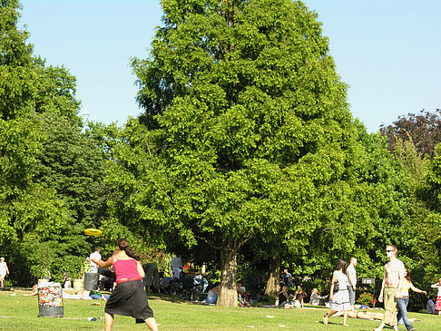 Planten un Blomen - Wiese am Parksee Foto 