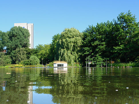 Planten un Blomen - Wiese am Parksee - Hamburg (Hamburg)