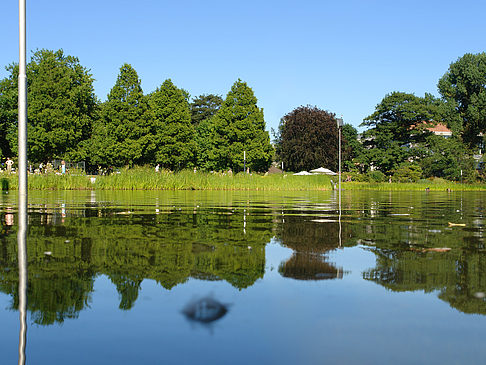 Planten un Blomen - Wiese am Parksee - Hamburg (Hamburg)