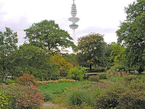 Japanischer Garten - Hamburg (Hamburg)