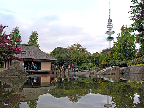 Japanischer Garten - Hamburg (Hamburg)