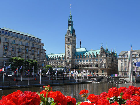 Rathaus mit Alsterfleet - Hamburg (Hamburg)