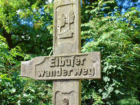 Elbufer Wanderweg an der St. Trinitatis Kirche Fotos