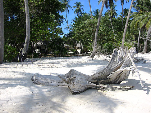 Fotos Der weiße Sandstrand | 