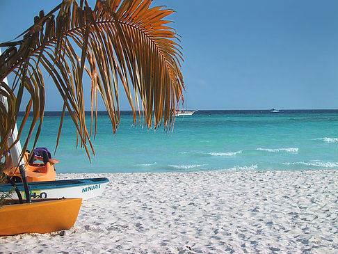 Foto Der weiße Sandstrand der Malediven