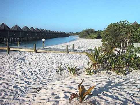 Der weiße Sandstrand der Malediven Fotos