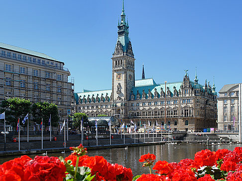 Foto Rathaus Hamburg