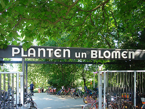 Planten un Blomen Fotos