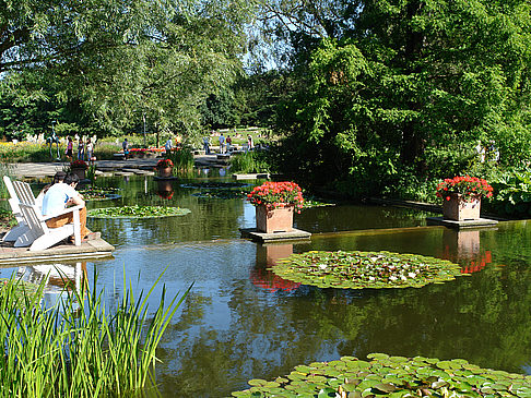 Foto Planten un Blomen - Hamburg