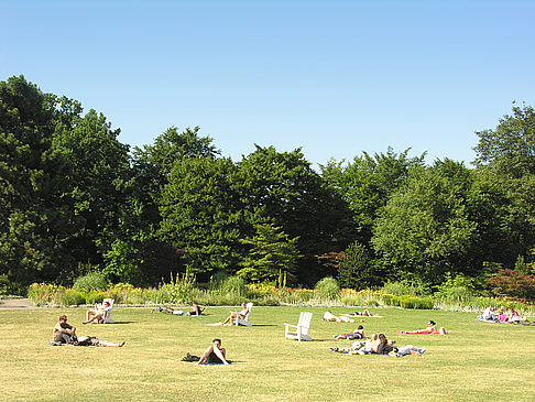 Foto Planten un Blomen - Hamburg