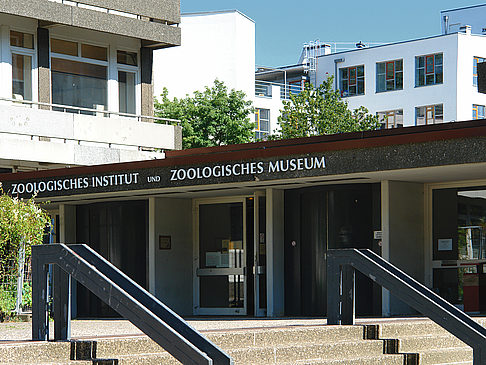 Fotos Zoologisches Museum