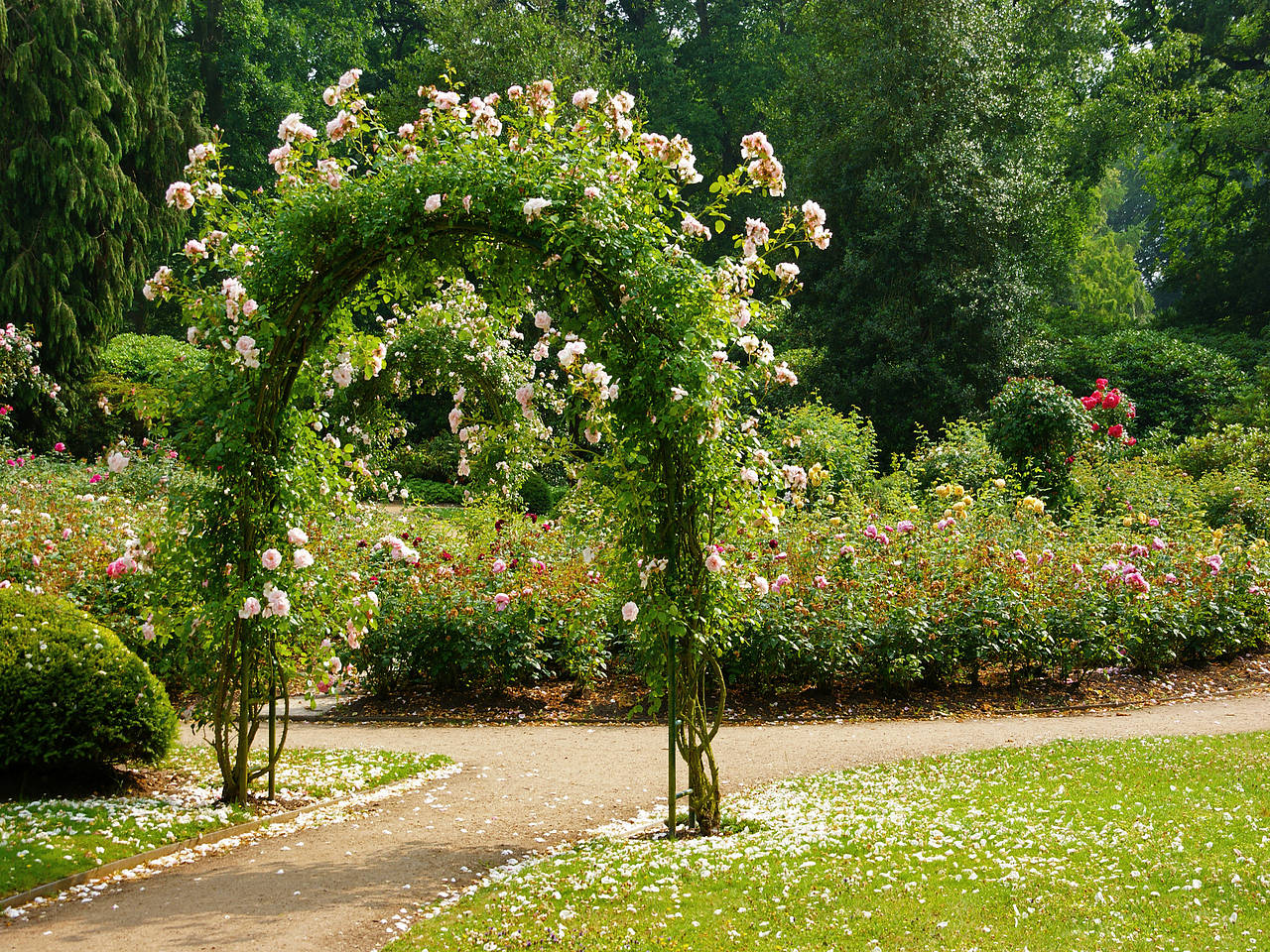 Foto Ohlsdorfer Friedhof - Hamburg